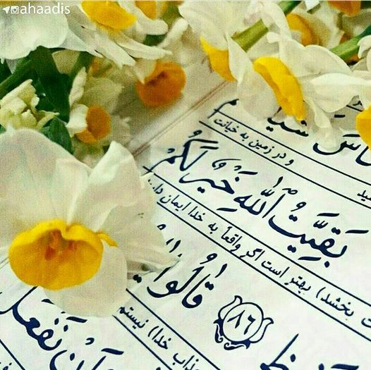 آنها که نه قدری دارند و نه قیمتی می خواهند درست به تقدیر ما جست بزنند ولی آنها غافل اند که امام خمینی (رضوان اله تعالی) مُهر خود را به صورت زشت آنها زده است